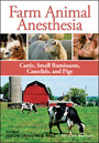 Farm Animal Anesthesia - Cattle, Small Ruminants, Camelids, and Pigs
